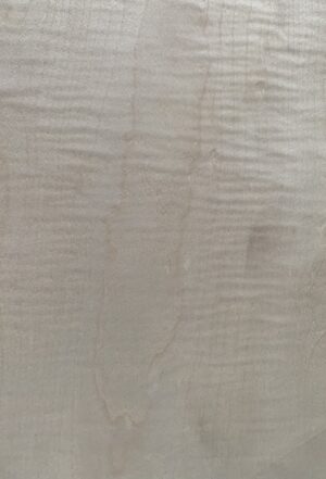 acero frisè 2 Lamina piallaccio legno Acero frisè