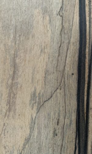 ebano bianco 2 Lamina piallaccio legno Ebano bianco