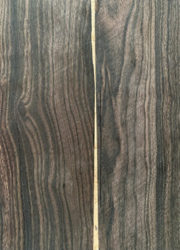 ebano makassar 2 Lamina piallaccio legno Ebano Makassar